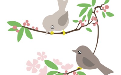 vogels birds blossom bloesem